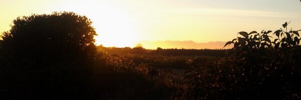 LabcoatZoe Profile Banner