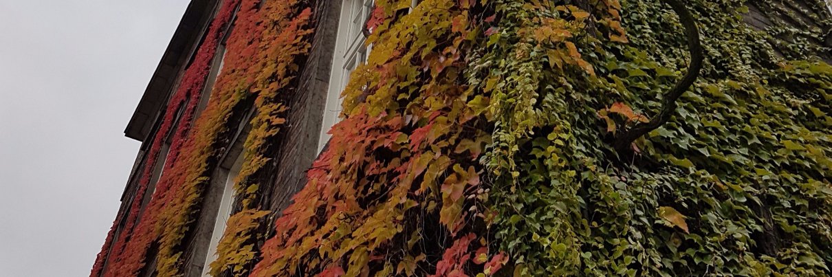 Øystein Vandvik banner