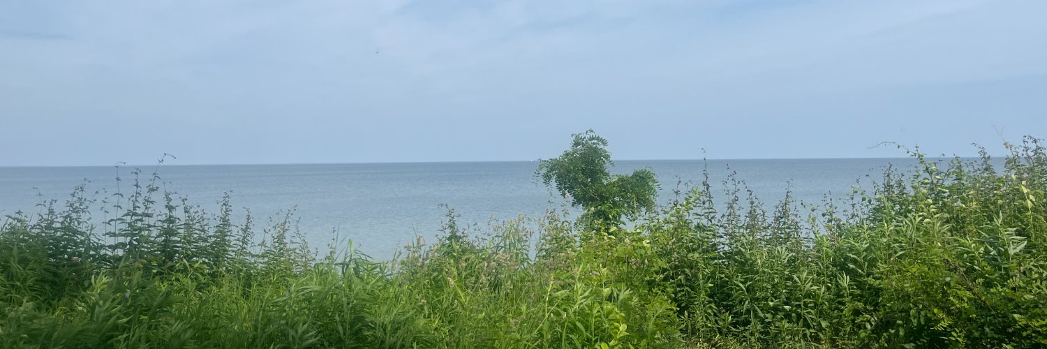 Kathryn Jensen banner