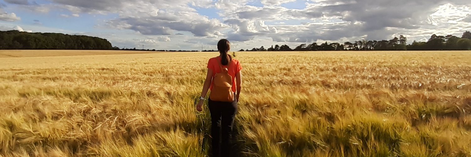 LisaMSanderson's profile banner image