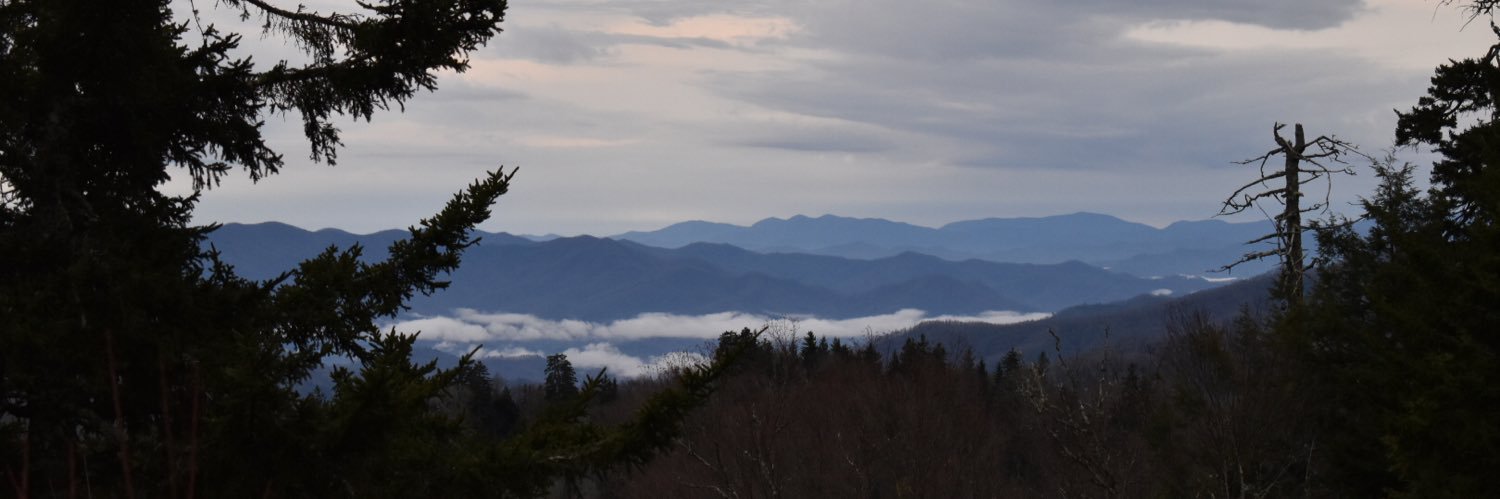 elkins_matt's profile banner image