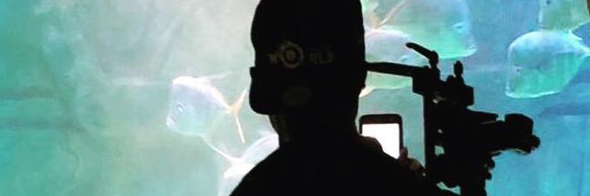LeequestWorld's profile banner image