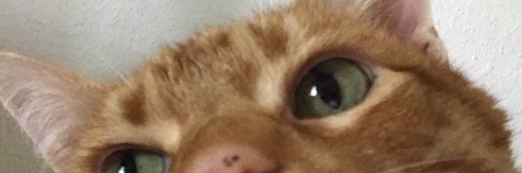 jessij_3's profile banner image