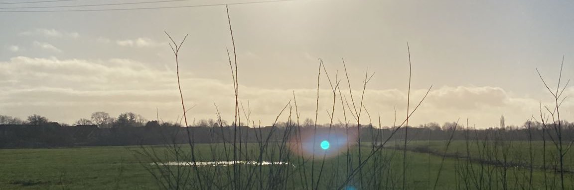 Eden banner