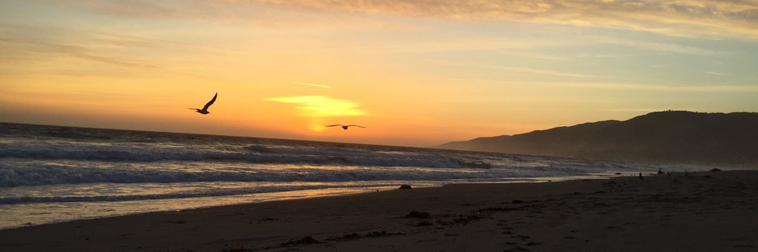 Michael Johnston banner