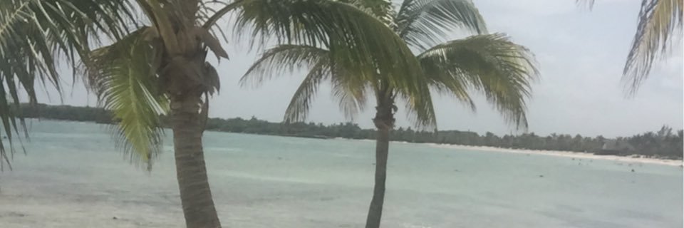 Teresaholt83's profile banner image