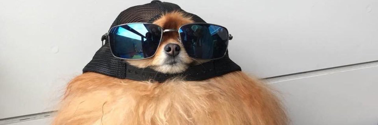 I’m Chuck Bass (3am Edition) banner