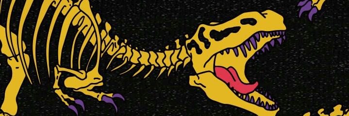 literally_loui's profile banner image