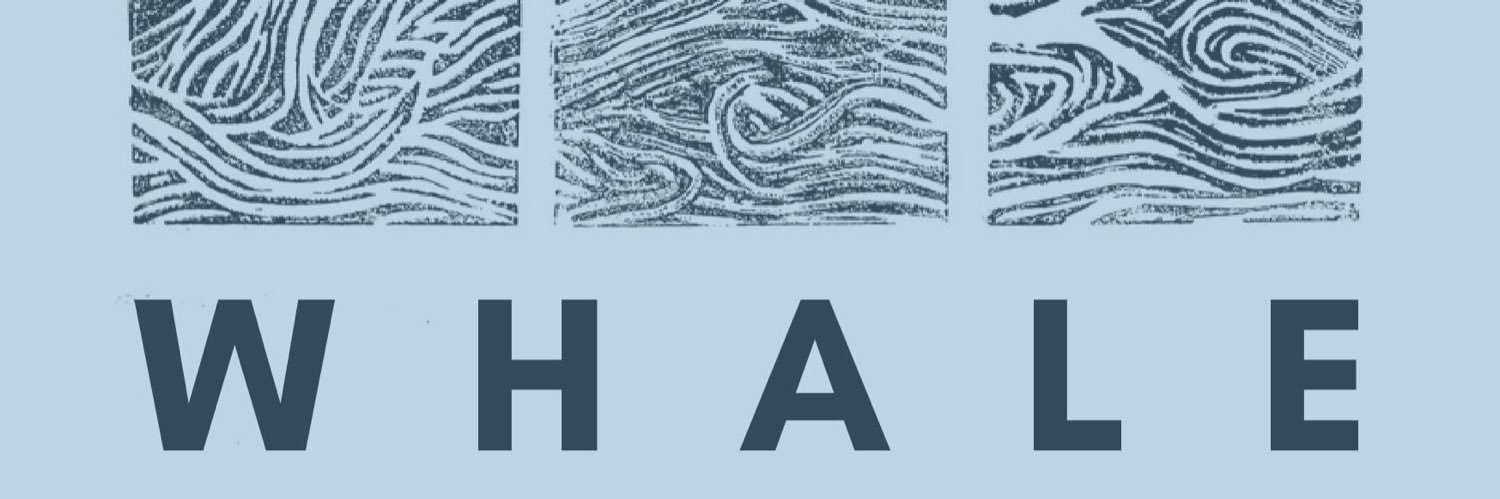 david gaffney banner