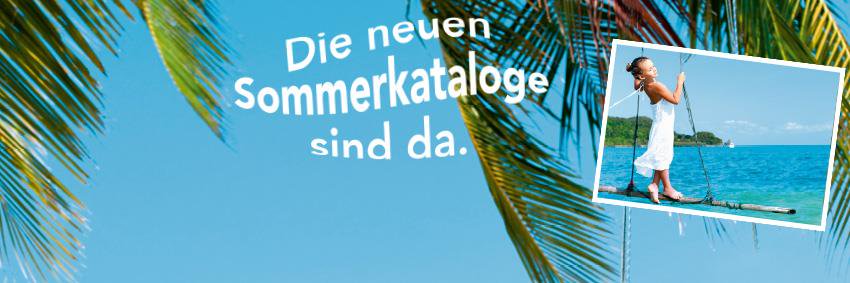 ReisenSchepers's profile banner image