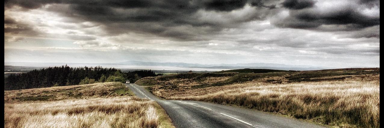 Erika Fülöp banner