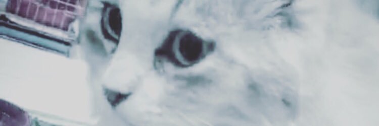gack_pets's profile banner image