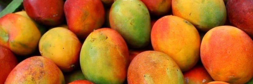 PushMeThatMango's profile banner image
