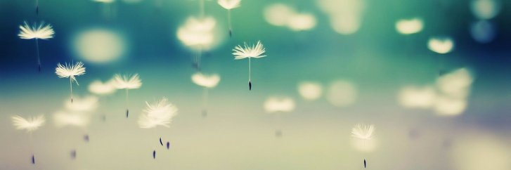 DrPerriTutelman's profile banner image