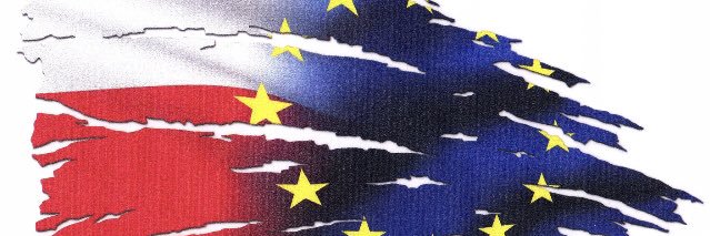 M.Sampławska banner