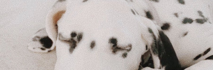 bailimaureen__'s profile banner image
