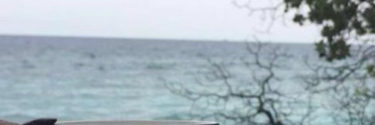 manawy01muna's profile banner image