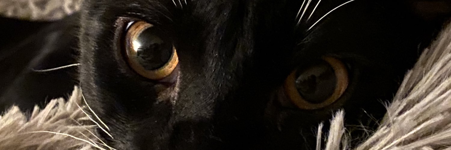 JonLu Atiles banner