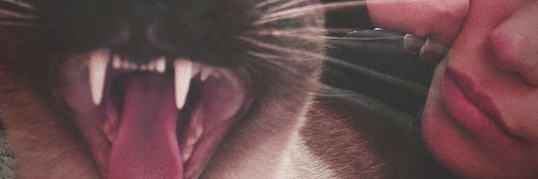 LadyTheer's profile banner image