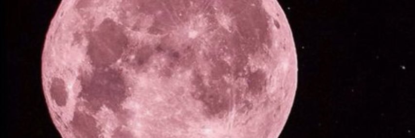 MidahAbd's profile banner image