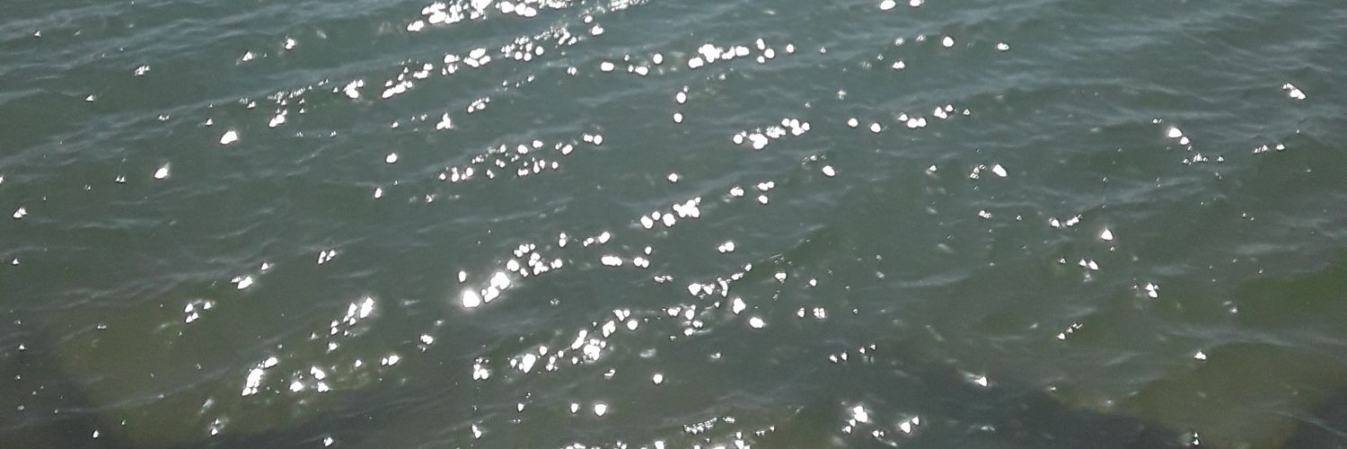 AhRawTankyah13's profile banner image