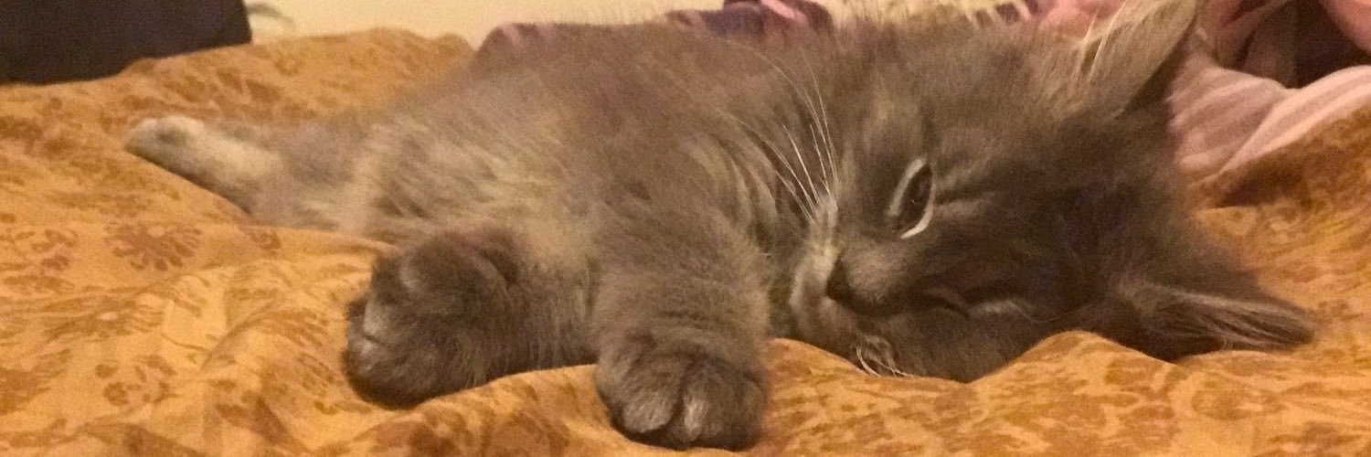 CatKingAC's profile banner image