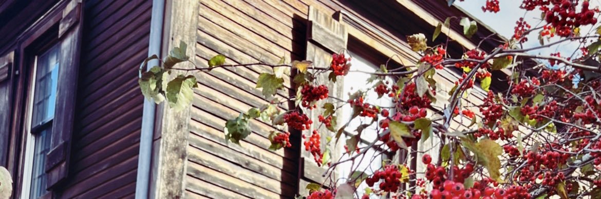 SxCrivelli's profile banner image