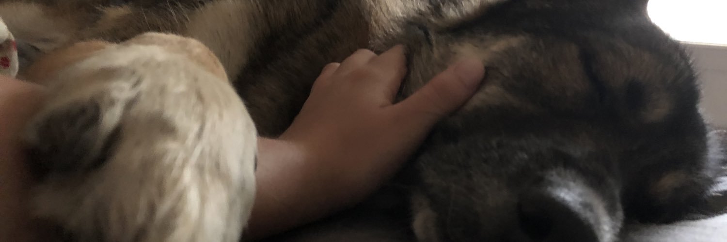 kapanavicius's profile banner image