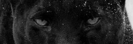 fundik06's profile banner image