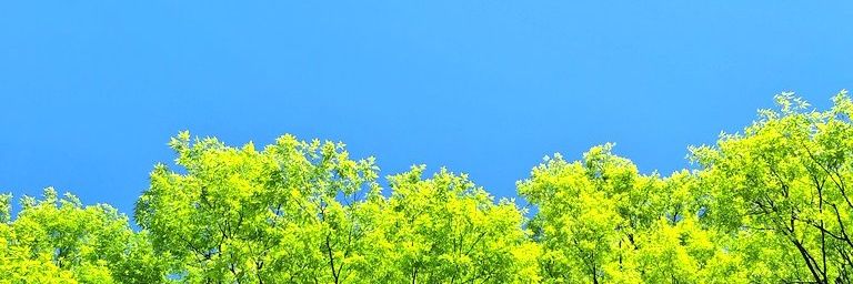 リョーズ banner