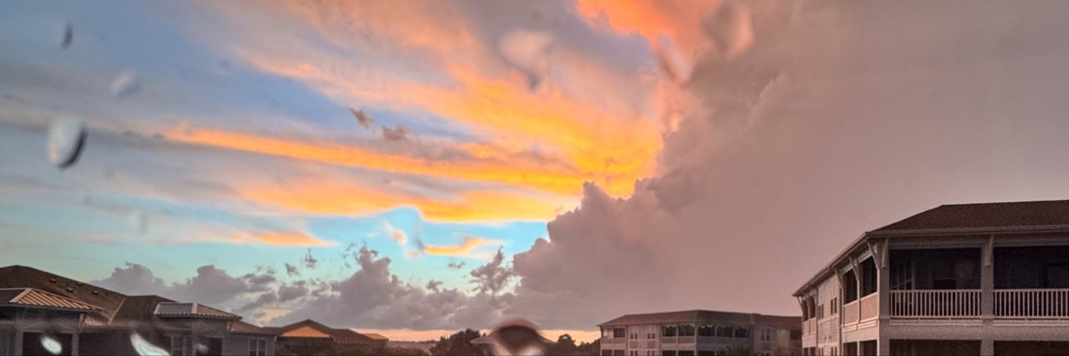 _brittinirose's profile banner image
