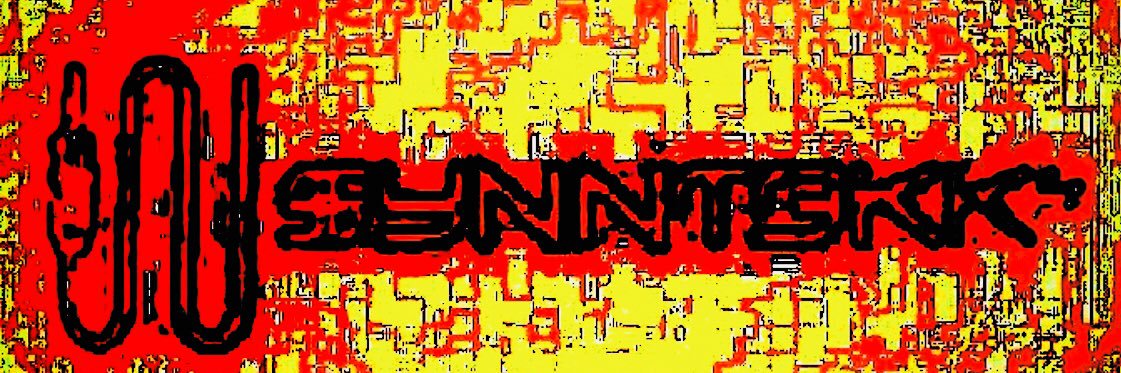SyNNT3kk's profile banner image