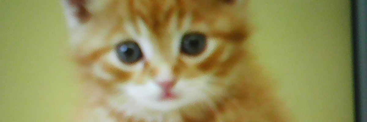 edmond111110's profile banner image
