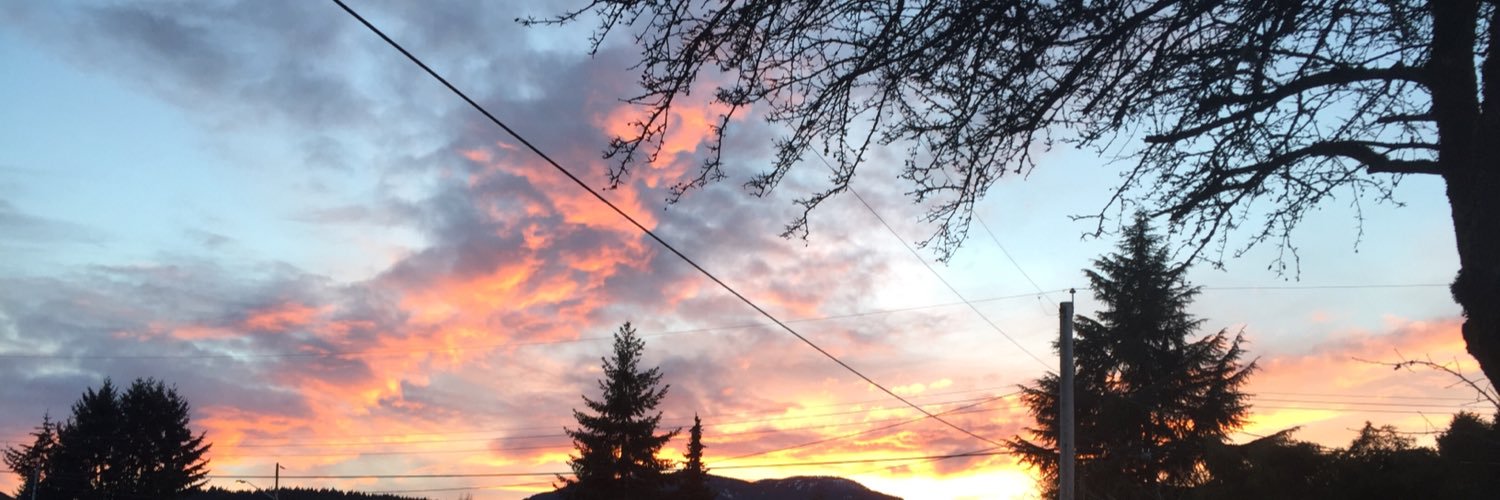 Calliefoster23's profile banner image