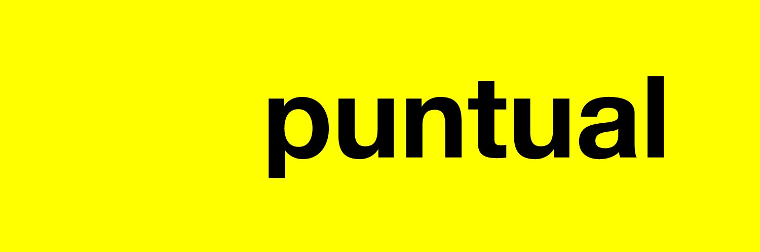 Puntual Marketing banner