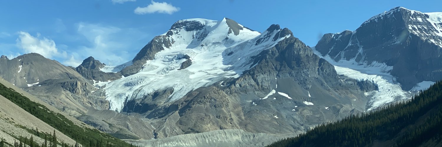 caperinalberta's profile banner image
