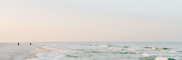 carojulien's profile banner image