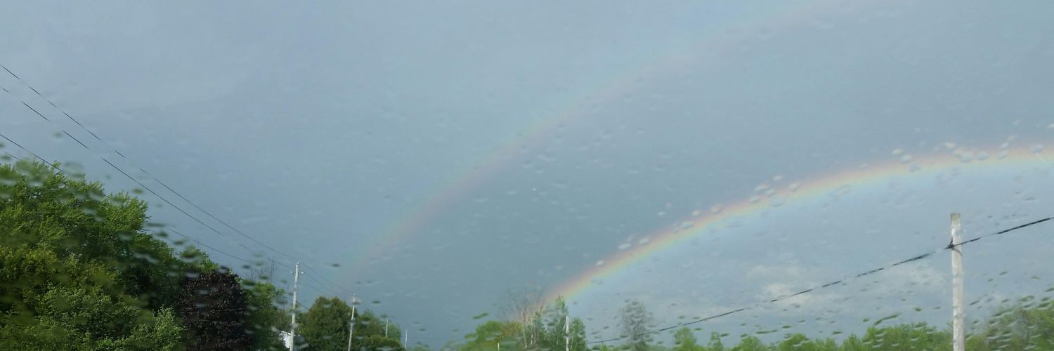 ilex88's profile banner image
