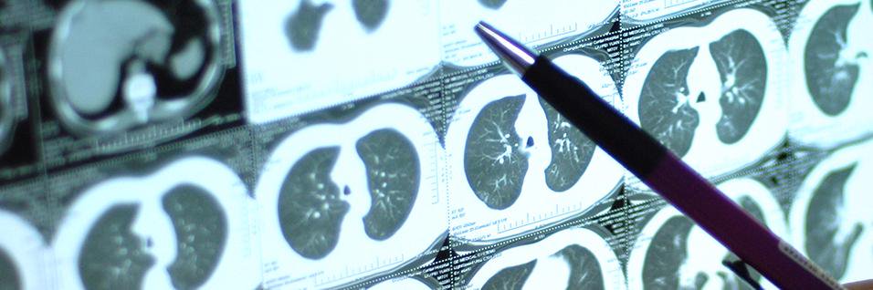 MTeresa P. Warnisher banner