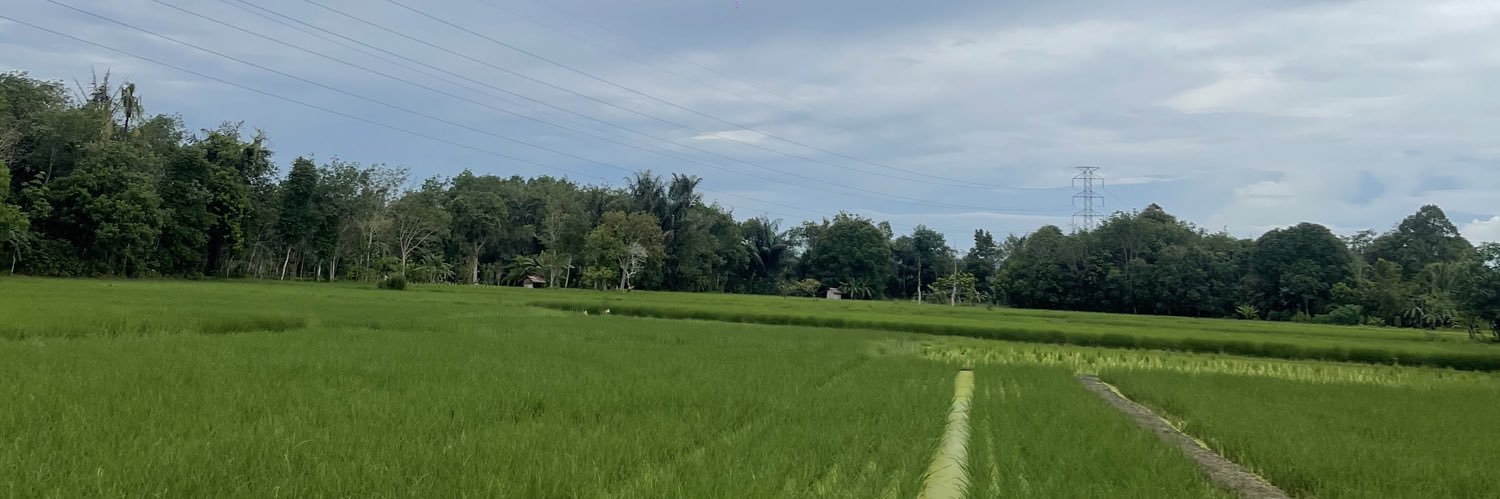 dvparamitha's profile banner image
