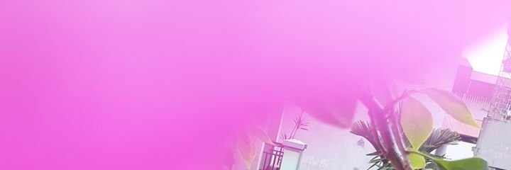 seth243's profile banner image