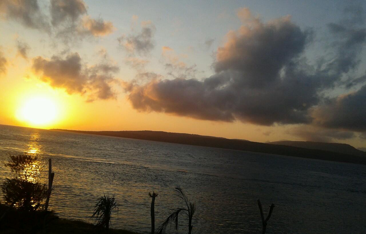 risahapsari's profile banner image
