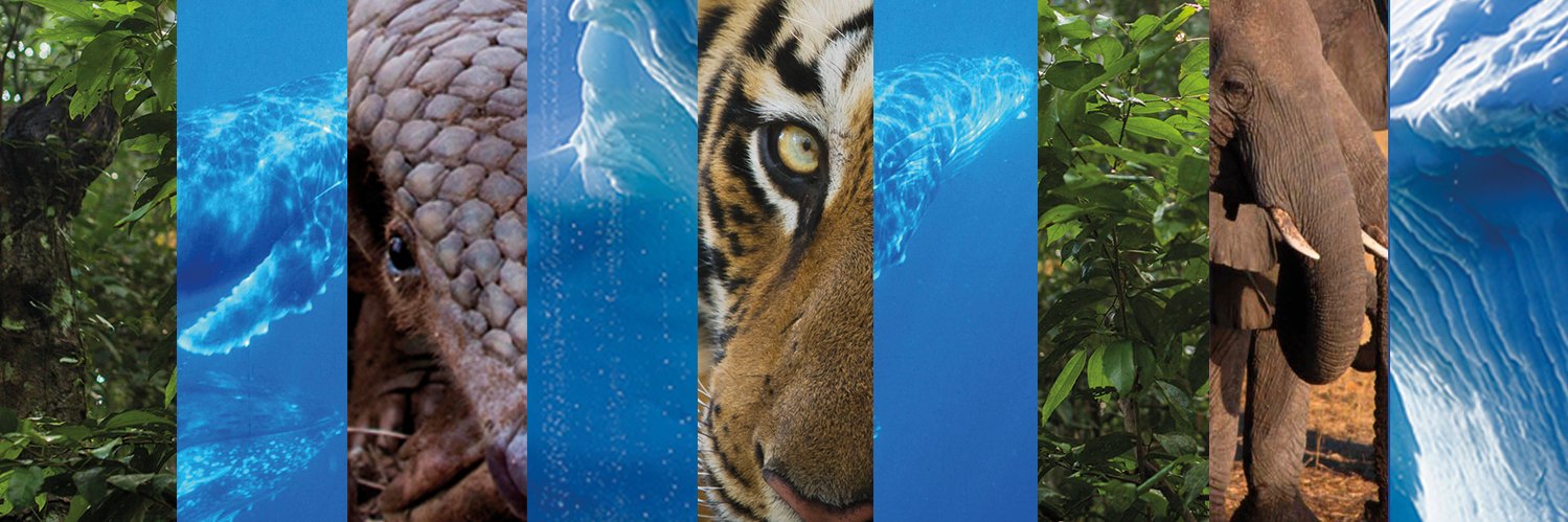 Environmental Investigation Agency's banner