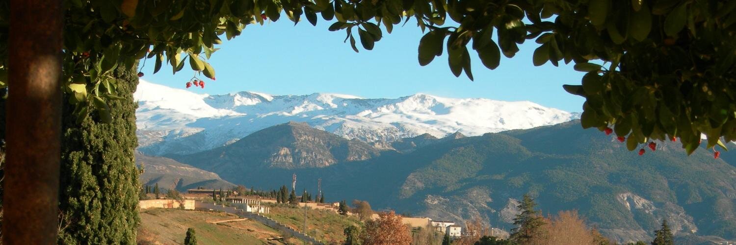 Anders Bolling banner