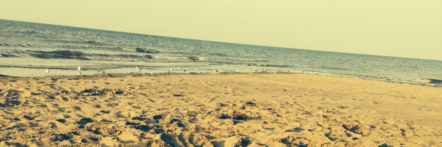 stunningpeach's profile banner image