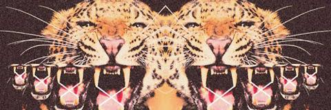 Luciaparon's profile banner image