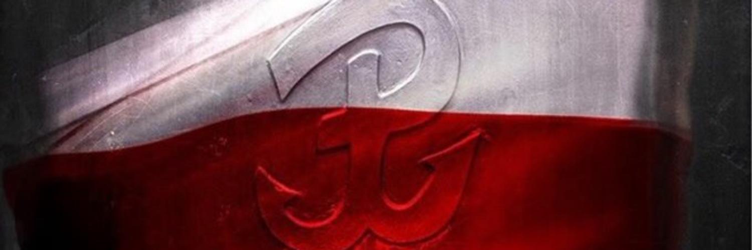 Dominik Tarczyński banner