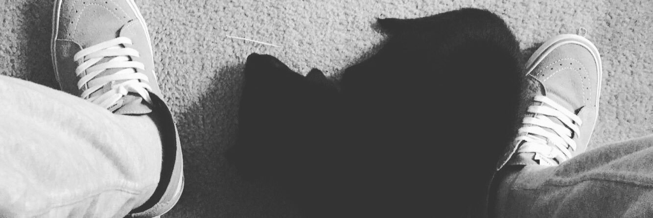 CalebHD's profile banner image