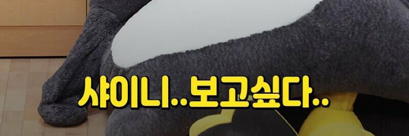 jamong_525's profile banner image