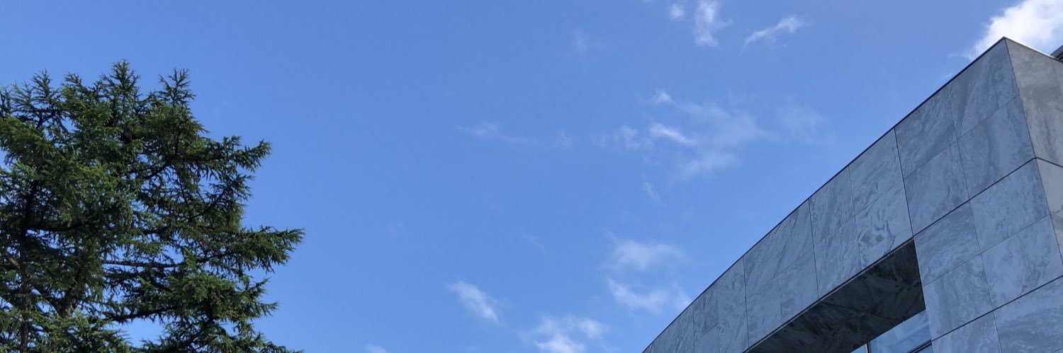 capricciosam's profile banner image